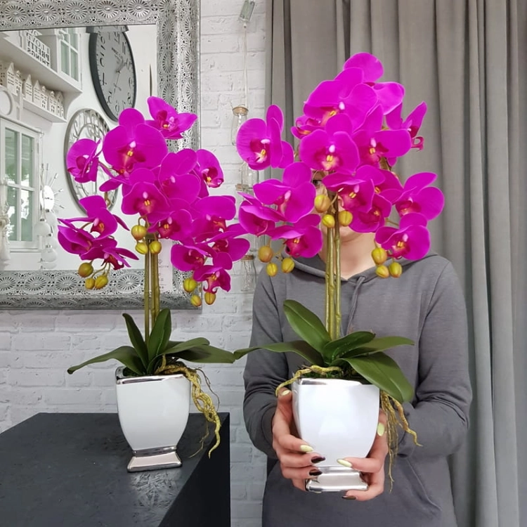 20190514_112639.jpg