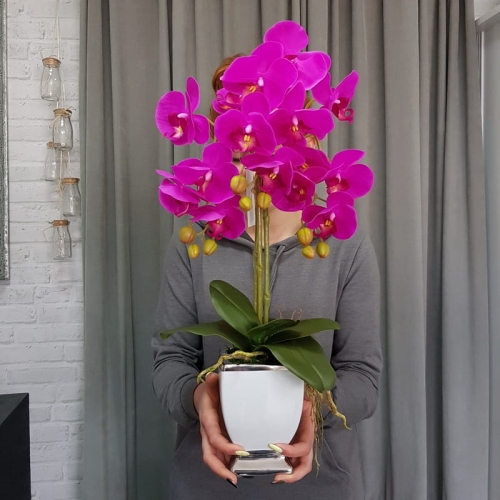 20190514_112826.jpg