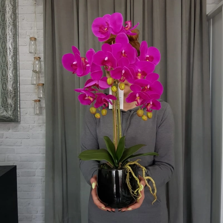 20190514_111649.jpg
