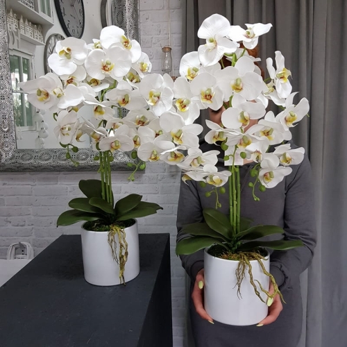20190514_113933.jpg