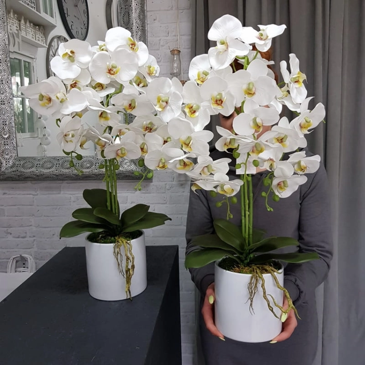 20190514_113933.jpg