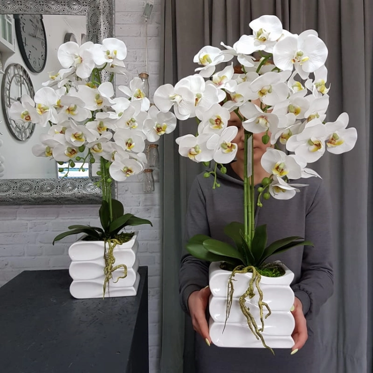 20190514_114821.jpg