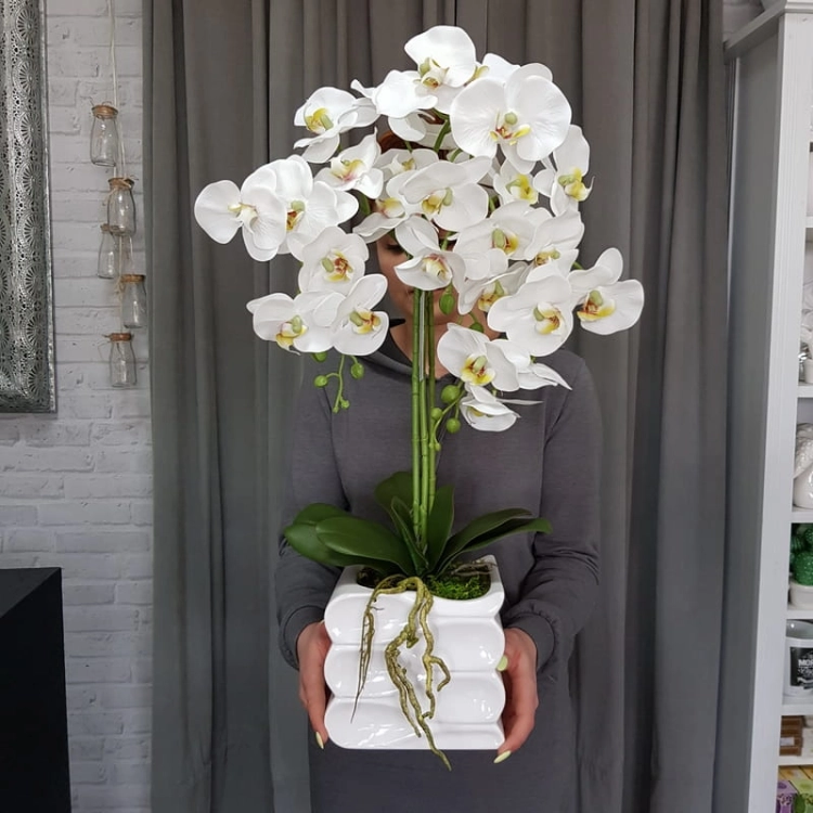20190514_114833.jpg