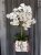 20190514_114840.jpg