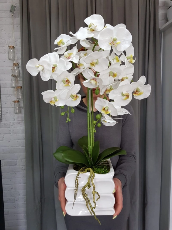 20190514_114840.jpg