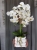 20190514_114842.jpg