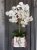 20190514_114843.jpg
