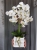 20190514_114844.jpg