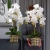IMG-20190527-WA0136.jpg