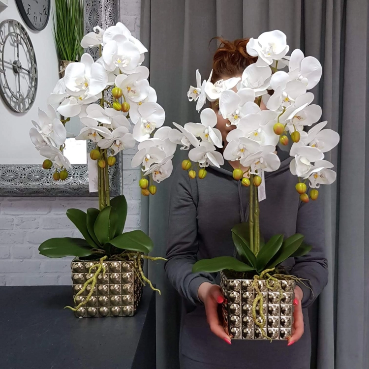IMG-20190527-WA0136.jpg