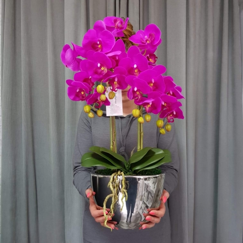 IMG-20190527-WA0005.jpg