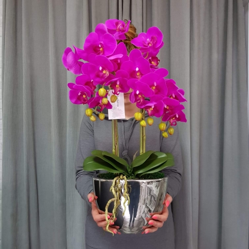 IMG-20190527-WA0007.jpg