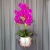 IMG-20190527-WA0049.jpg