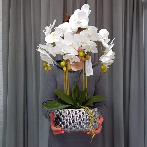 IMG-20190527-WA0118.jpg