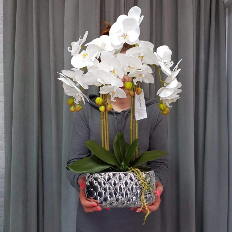 IMG-20190527-WA0118.jpg