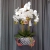 IMG-20190527-WA0119.jpg