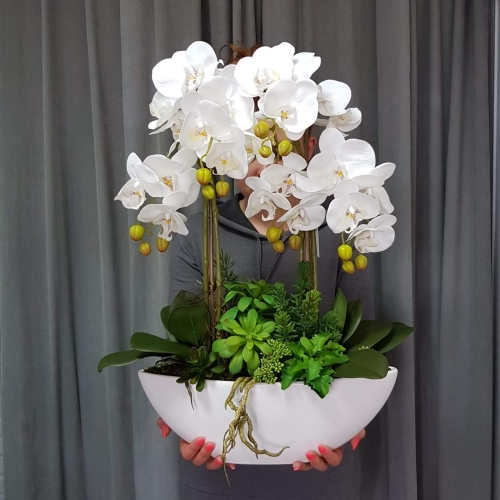 IMG-20190527-WA0223.jpg