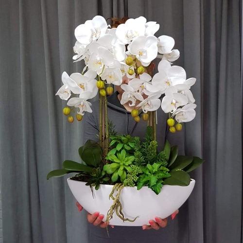 IMG-20190527-WA0224.jpg