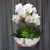 IMG-20190527-WA0224.jpg