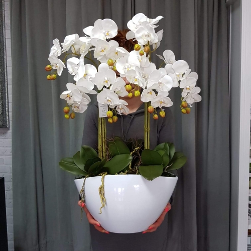IMG-20190527-WA0299.jpg