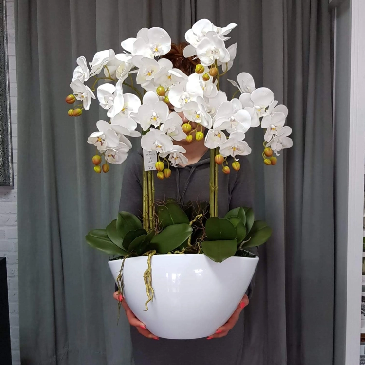 IMG-20190527-WA0299.jpg