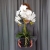 IMG-20190527-WA0256.jpg