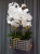 IMG-20190527-WA0208.jpg