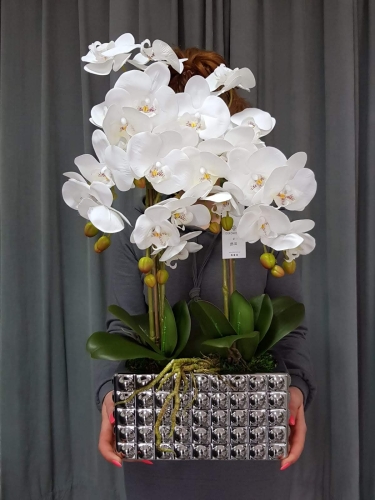 IMG-20190527-WA0210.jpg
