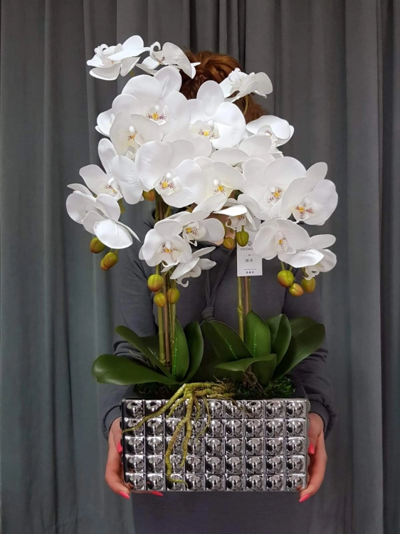 IMG-20190527-WA0210.jpg