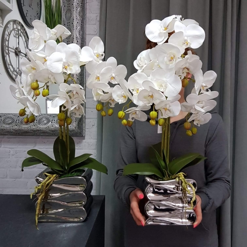 IMG-20190527-WA0246.jpg