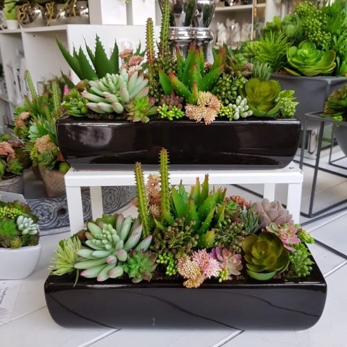 20190611_150043.jpg