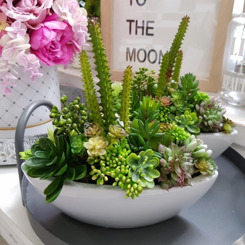20190611_150651.jpg