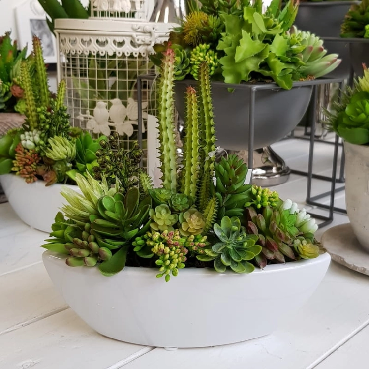 20190611_144952.jpg
