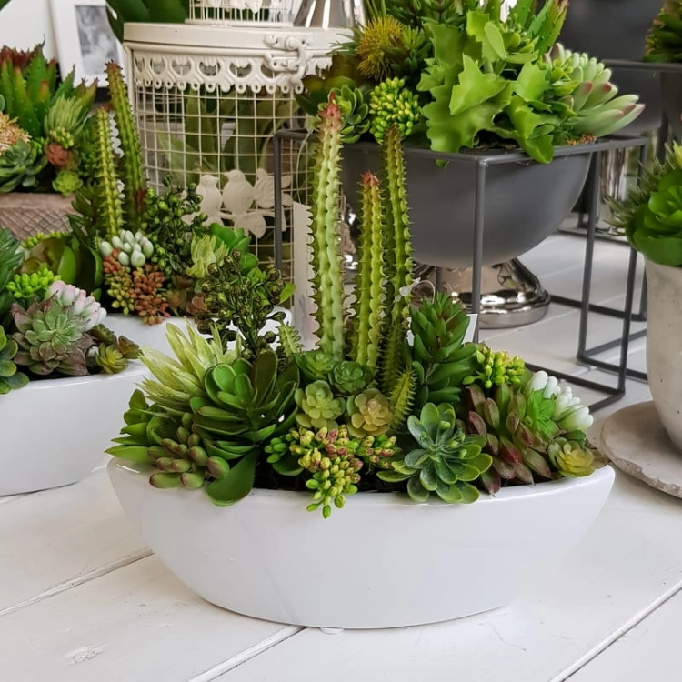 20190611_145003.jpg
