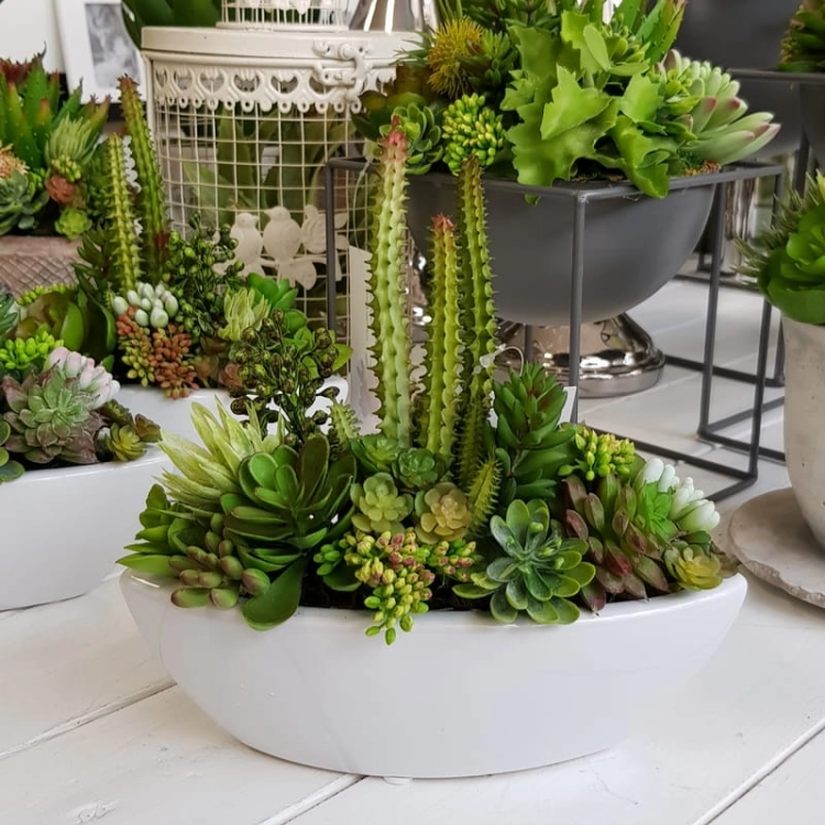 20190611_145004.jpg