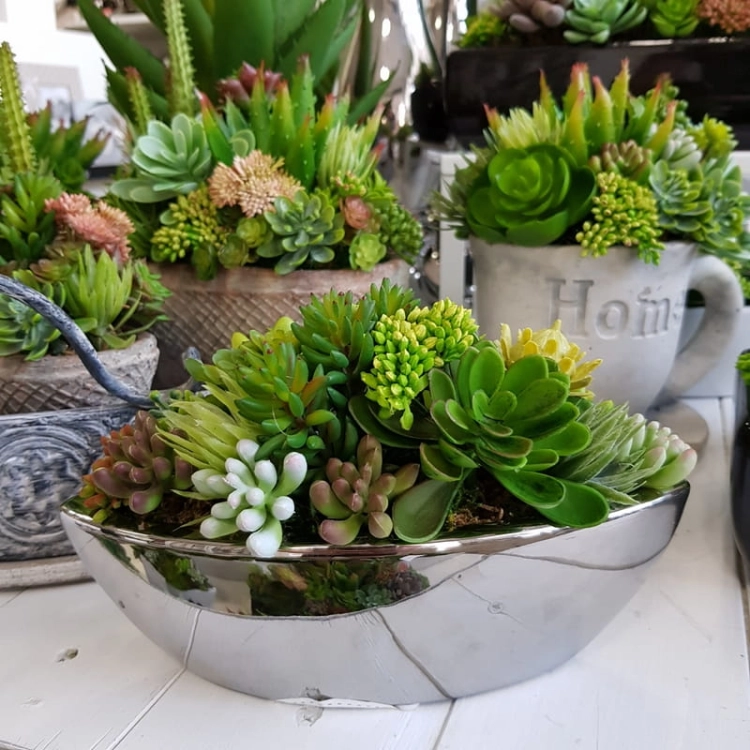 20190611_172634.jpg