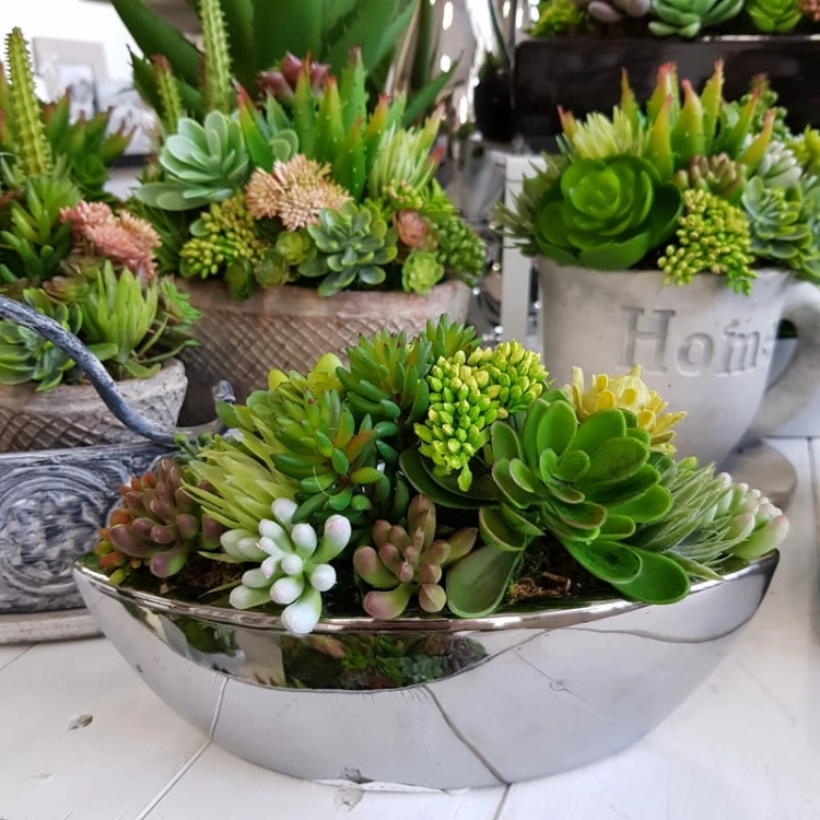 20190611_172636.jpg