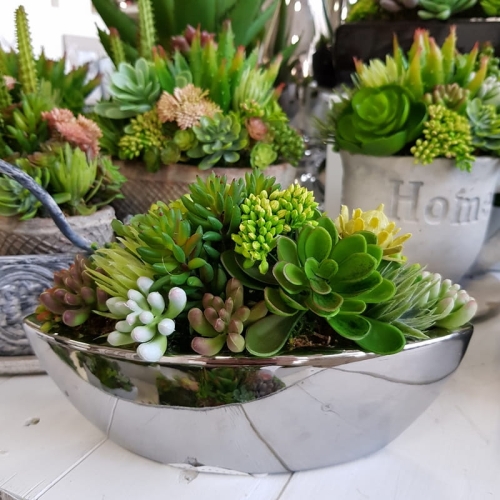 20190611_172649.jpg