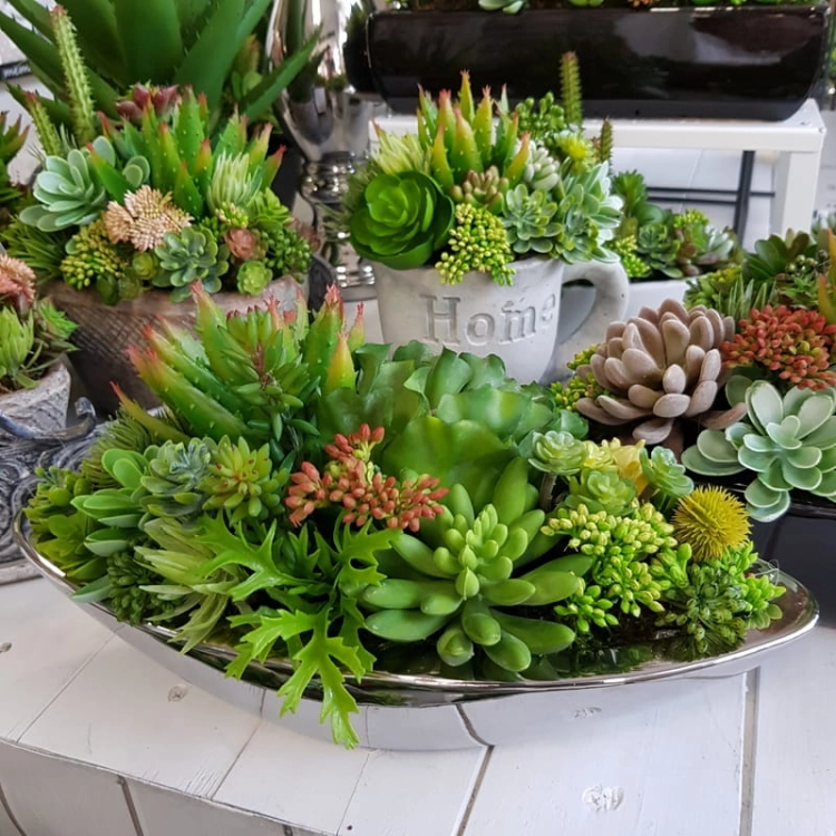 20190611_172621.jpg