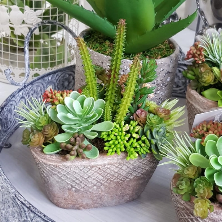 20190611_145629.jpg