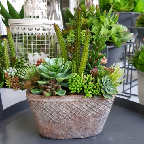 20190611_145115.jpg