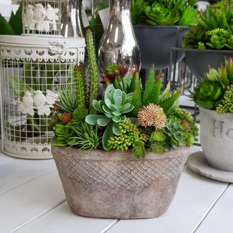 20190611_145346.jpg