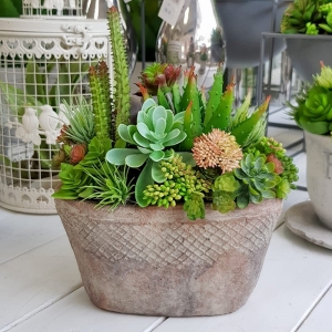 Sukulenty kaktusy donica Manola M