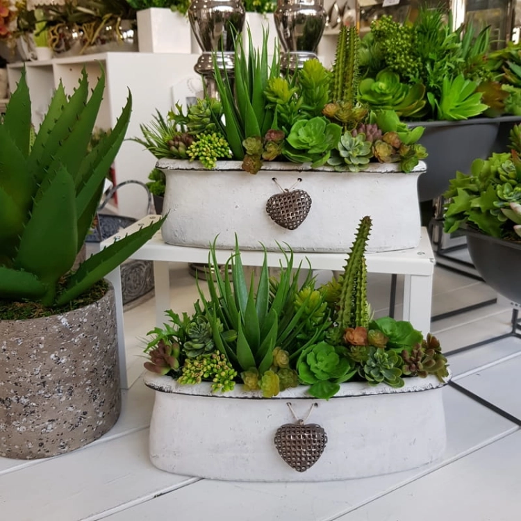 20190611_181116.jpg