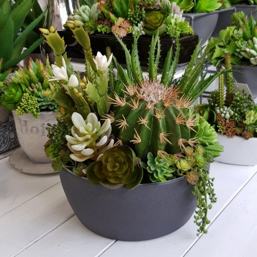 20190611_151427.jpg