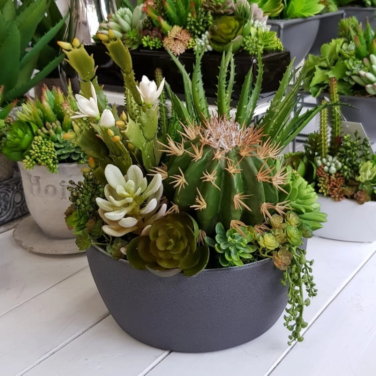 20190611_151427.jpg