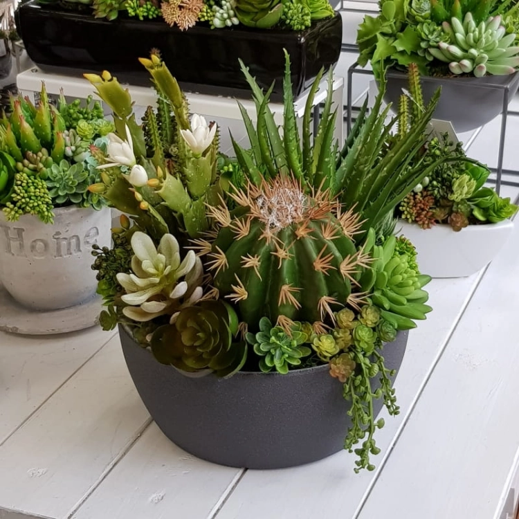 20190611_151454.jpg