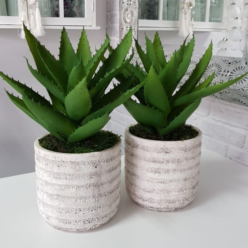 20190611_144438.jpg
