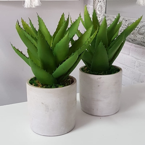 20190611_143409.jpg