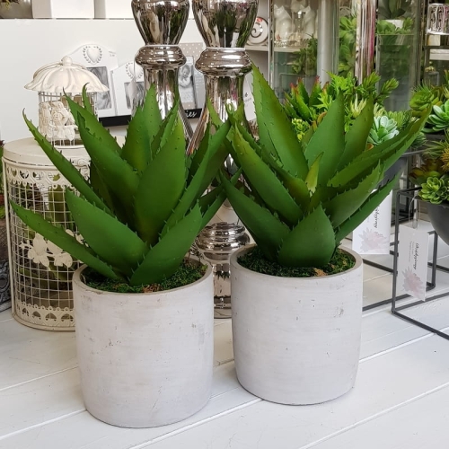 20190611_143924.jpg